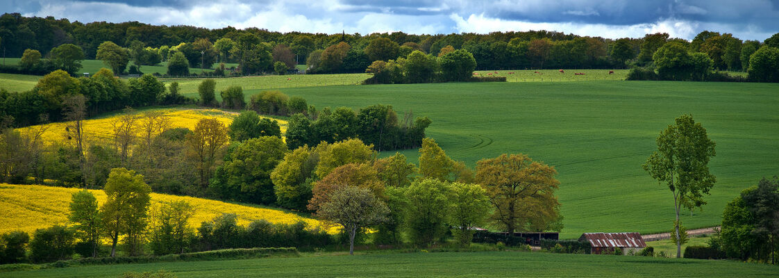 CC DES COLLINES DU PERCHE