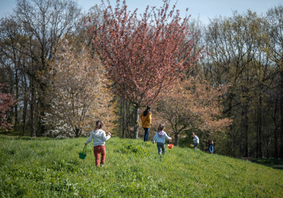 VILLE DE NEUILLY SUR MARNE