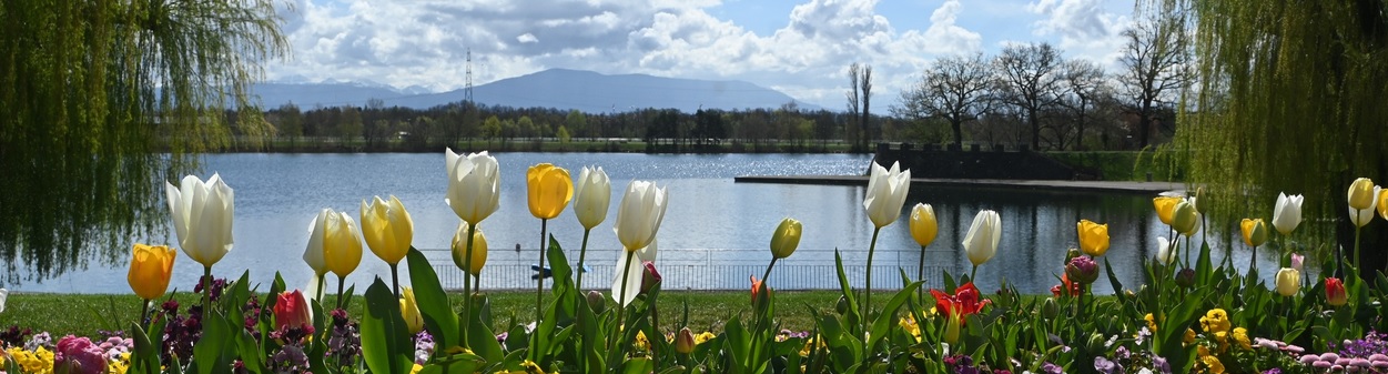 VILLE DE DIVONNE LES BAINS