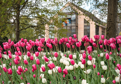 VILLE DE NEUILLY SUR MARNE