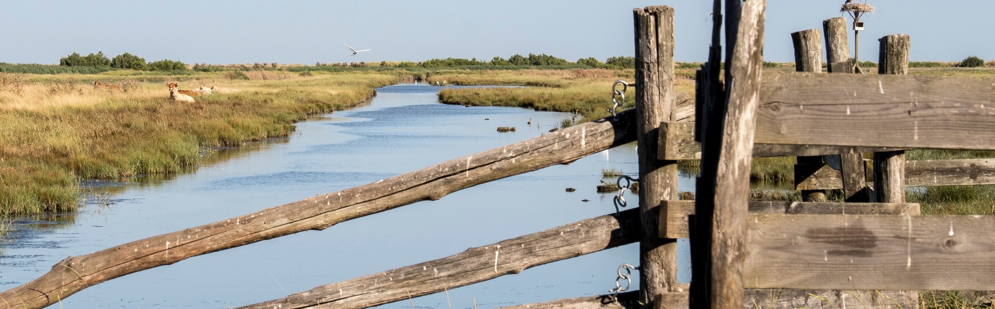 CONSEIL DEPARTEMENTAL DE CHARENTE MARITIME