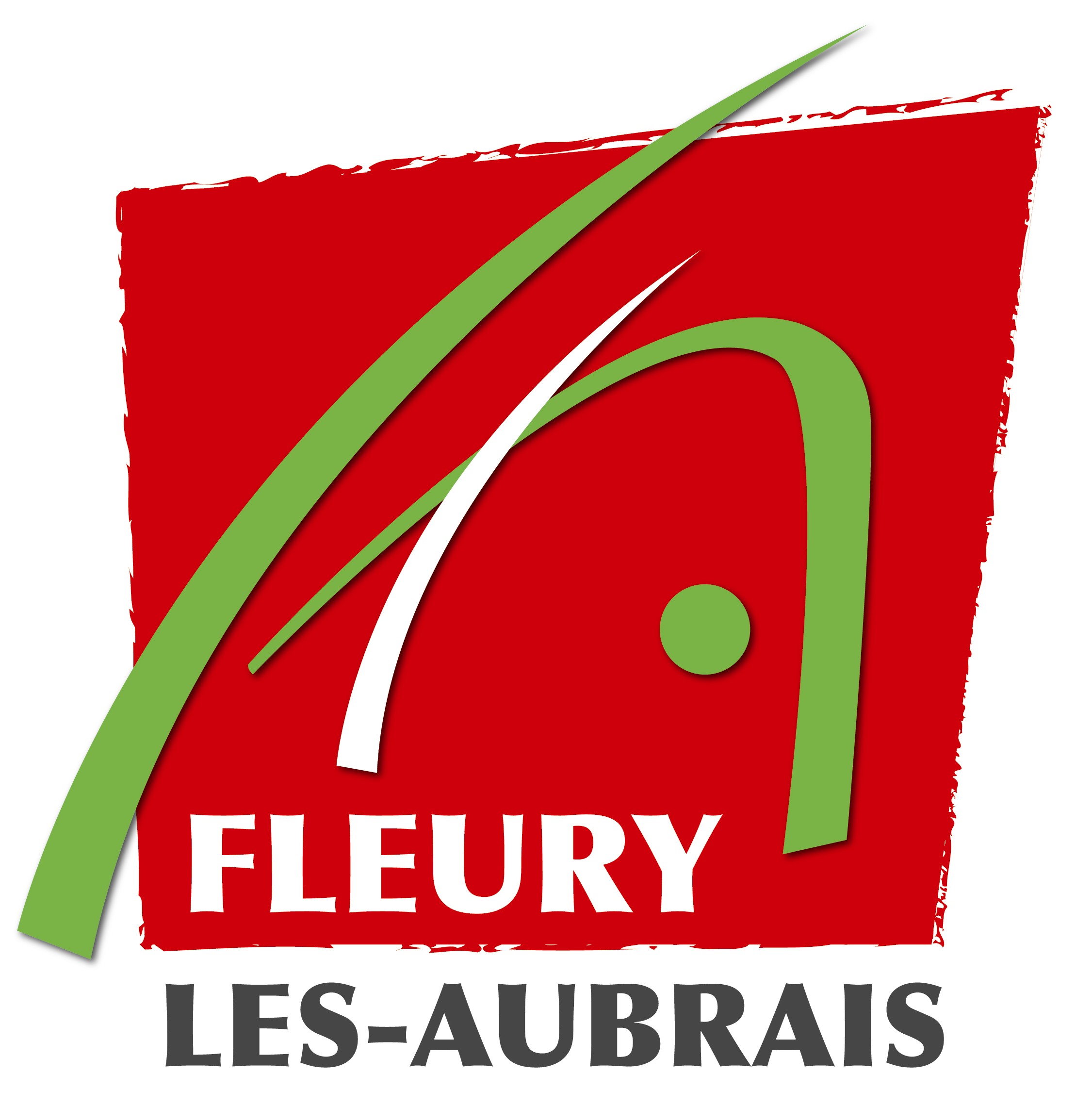 VILLE DE FLEURY LES AUBRAIS